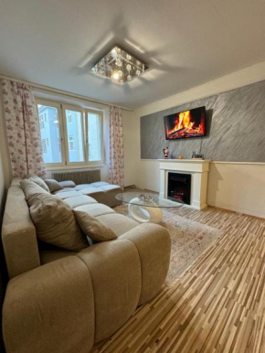 Große charmante zentral gelegene Wohnung